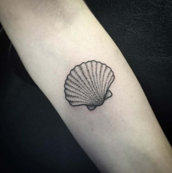 dotwork_shell_antebraço_tatuagem