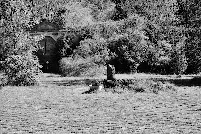 Photos of Cemetery of 366 Fosse