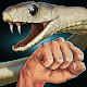 Money or Death - snake attack! Download on Windows