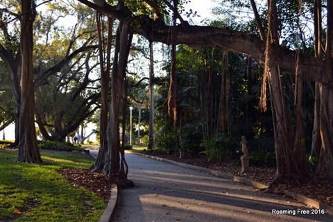 Tunnel of Banyan Roots