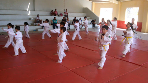Centro Deportivo Marcial As., Bv. Monte Real, Monte Real, San José del Cabo, B.C.S., México, Escuela de artes marciales | BCS