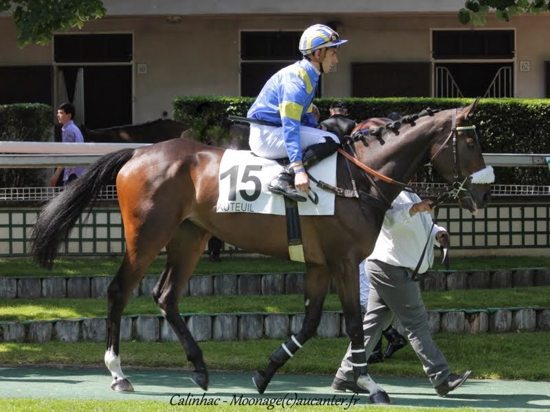 Photos Auteuil 22-05-2015 IMG_0731