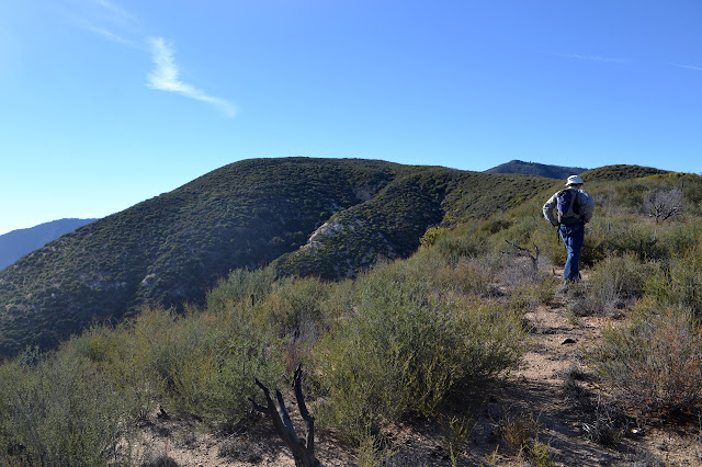 open space at the top of the ridge