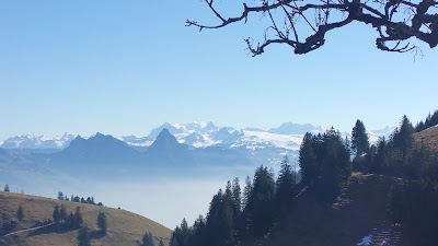 Photos of Hotel Rigi First