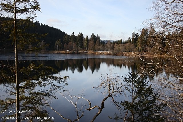 Windgfällweiher vom Zug aus gesehen