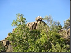 170529 069 Fitzroy Crossing Geikie Gorge NP Boat Trip