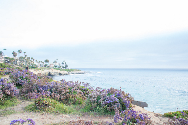 photo of the beach and ocean