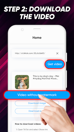 TikTok Video Downloader without Watermark