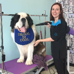 Dashing Doodles Dog Grooming