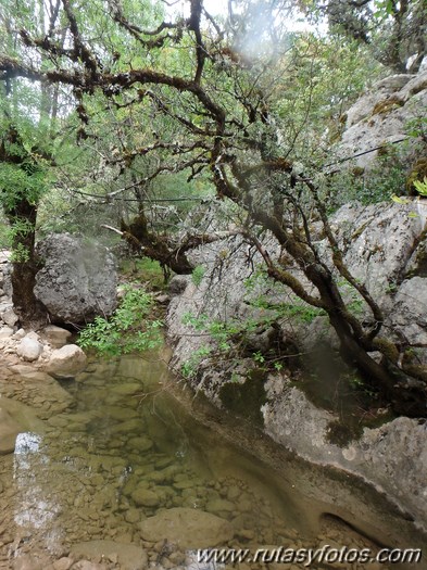 Barranco del Arroyo del Pajaruco