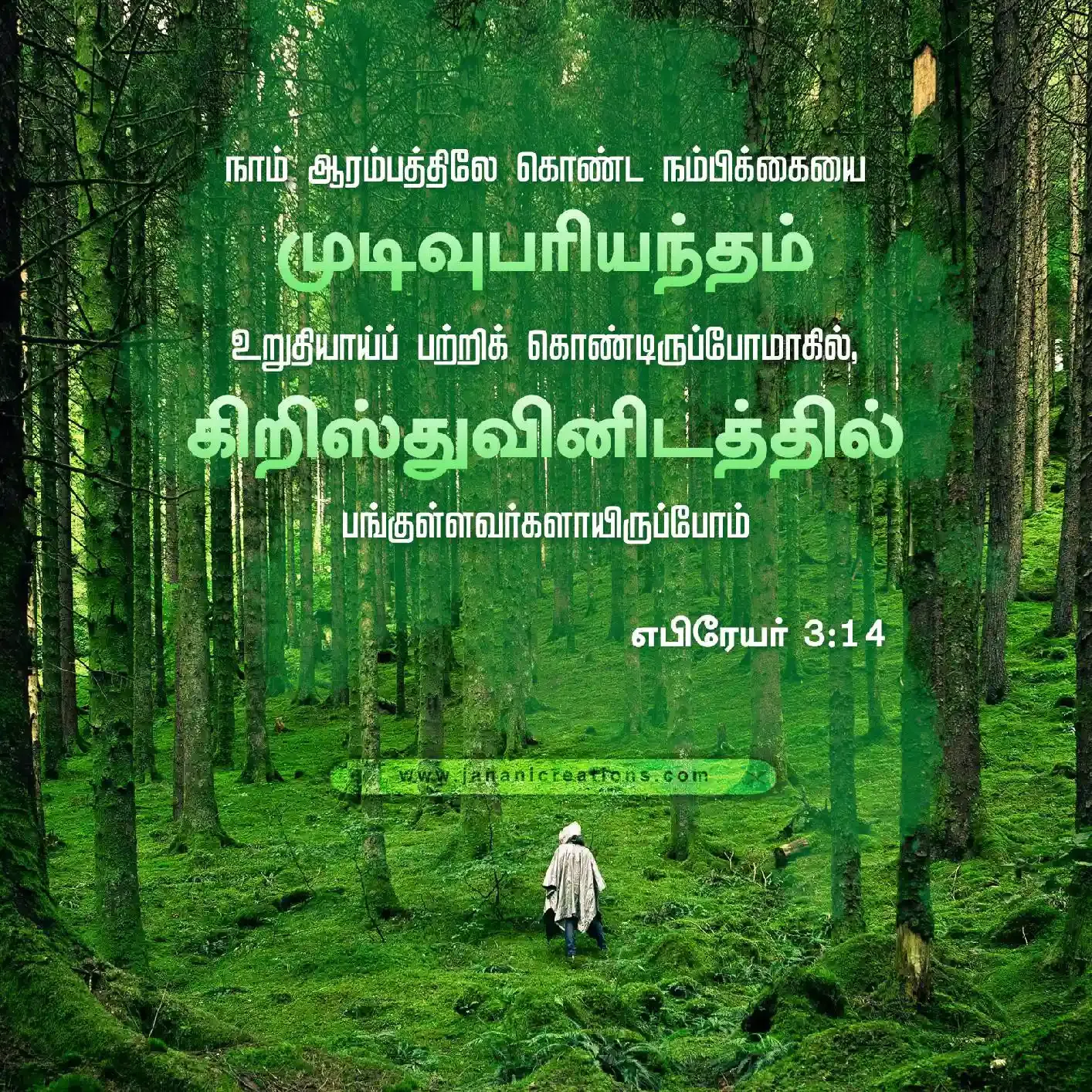 bible verses in tamil 