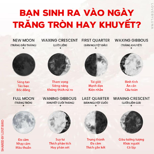 BẠN SINH RA VÀO NGÀY TRĂNG TRÒN HAY KHUYẾT?Chỉ cần Google "Moon phase in..." + ngày tháng năm sinh của bạn theo cú pháp dd/mm/yyyy là ra nhé.Cùng chia sẻ kết quả xem có ai chung kỳ trăng hong nè :3🌕🌖🌗🌘🌑🌒🌓🌔🌙Cre: Lost Bird