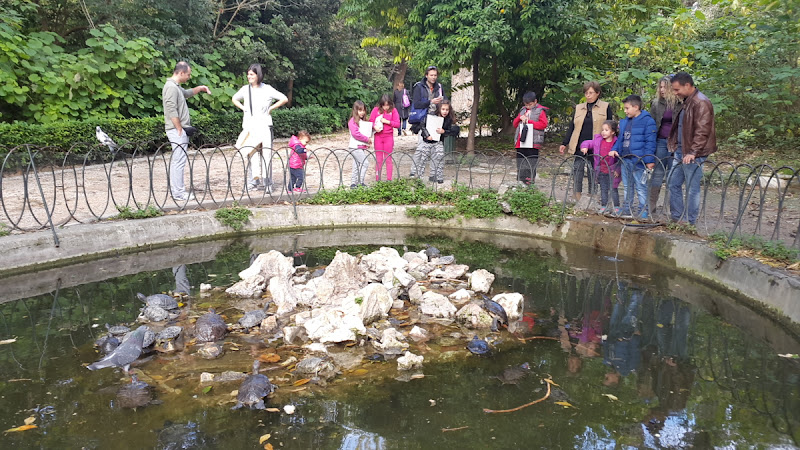 SUBIDA A LICABETO Y PSIRRI - ATENAS 4 días sin calor ni turistas (4)