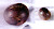 The 3-Billion-Year-Old Klerksdorp Spheres of Ottosdal