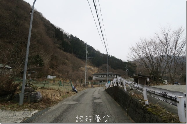 德島 稻草人之村 (名頃のかかしの里) (28)