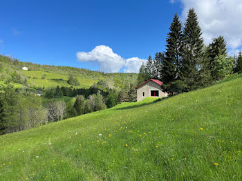 maison à Les Bouchoux (39)