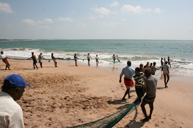 Sri Lankа - сейчас. Много фото пляжей. Sri Lankа - сейчас. Много фото пляжей.