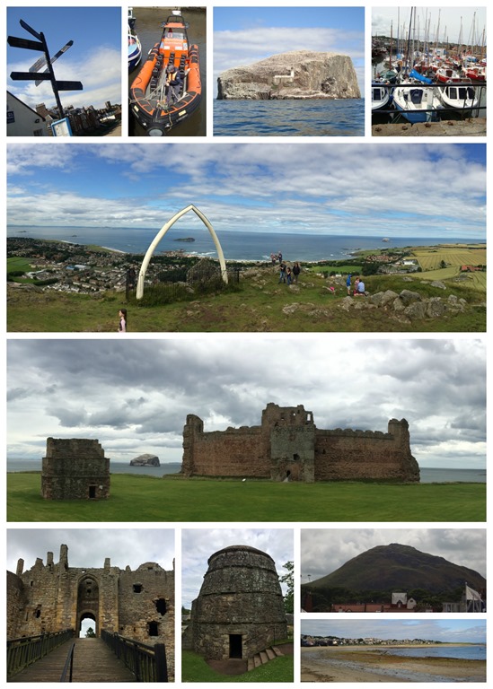 PicMonkey Collage2