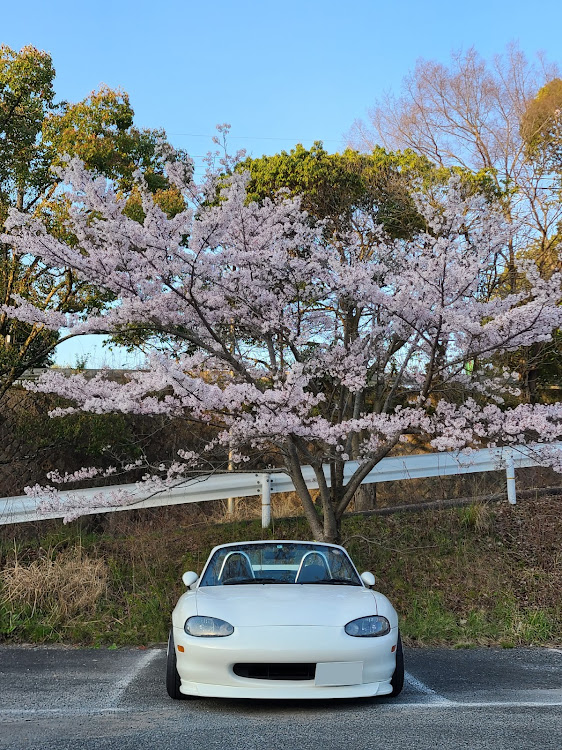 の投稿画像10枚目