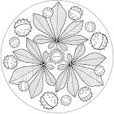 kastanien_mandala.jpg