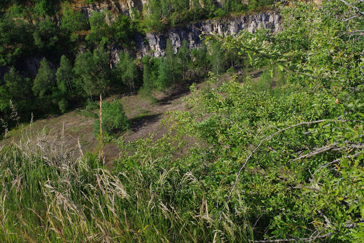 MARCHE 20 KMS DES GODILLOTS D OTTANGE photos de Marc IMGP6437%252520%252528Copier%252529