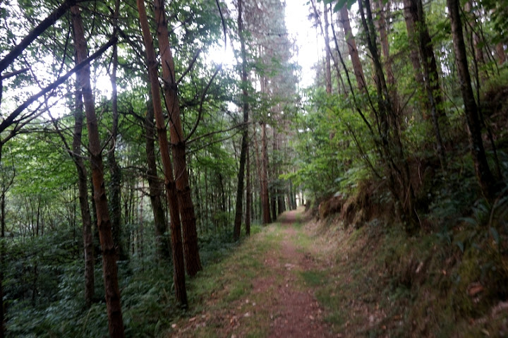 Ruta de los Ferreiros (Taramundi) - Descubriendo Asturias (5)