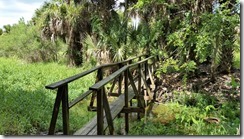 Bridge over creek