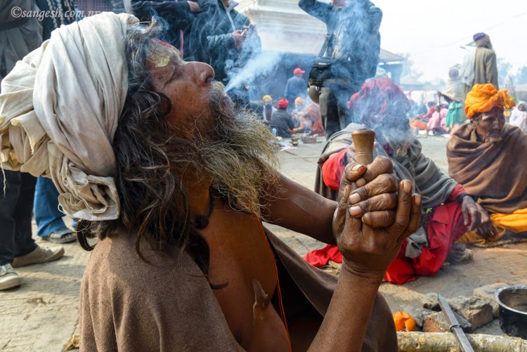 Sadhu and ganja puff