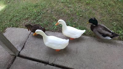 Photos of Stoney Run County Park