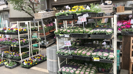 あそこの花屋 花屋