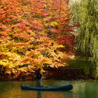 traversando l'autunno di 