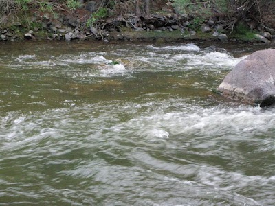 P7200047.JPG