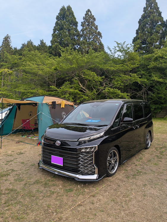 ヴォクシーの新緑コラボに関するカスタム事例の投稿画像1枚目