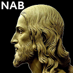 N.A.Bible Apk