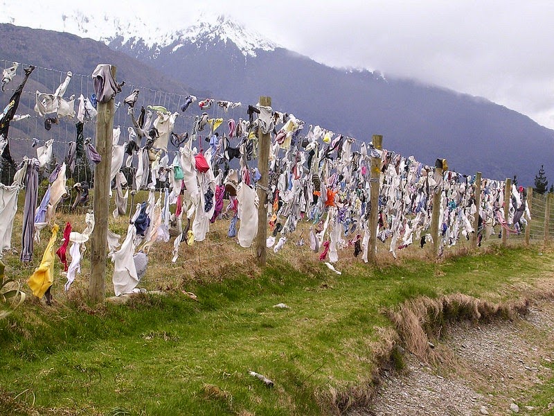 cardrona-bra-fence-8