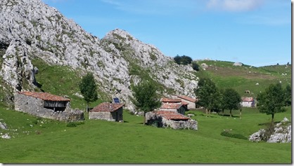 Picos_Covadonga_(12-9-2017) (28)