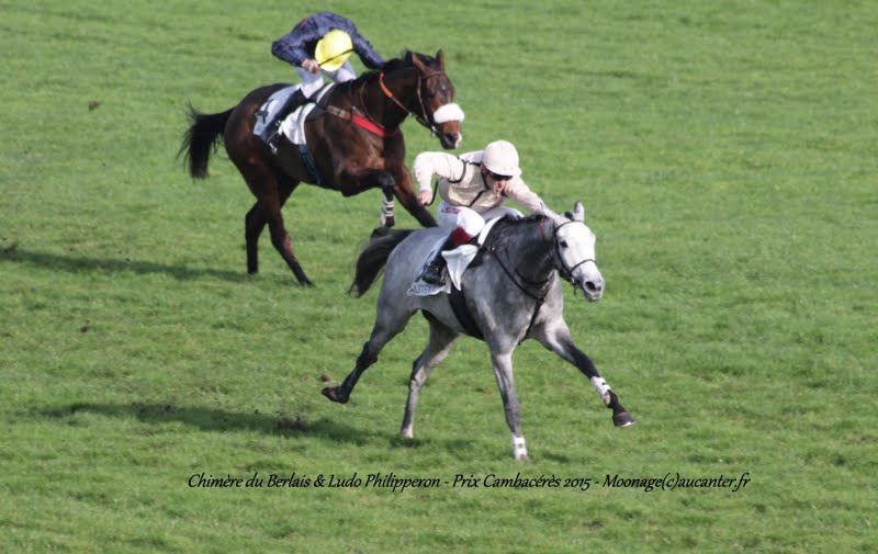 Photos Auteuil 8-11-2015 (48h de l'obstacle) IMG_6934