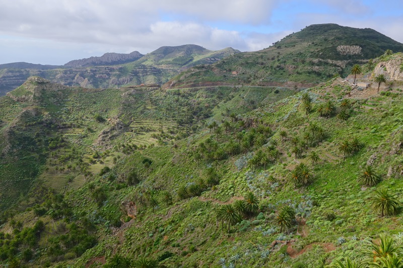 3 días en La Gomera (Canarias). Una isla para enmarcar.  1ª parte. - De viaje por España (25)