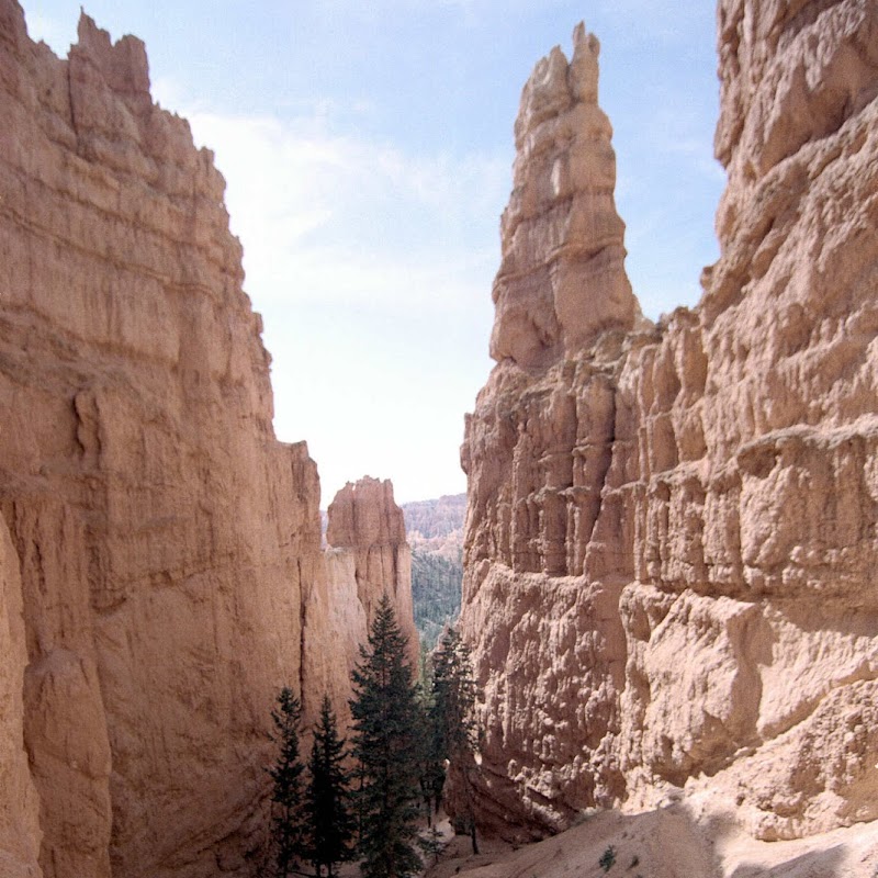 Wall Street Bryce_09.jpg