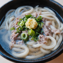 Niku Udon 肉うどん