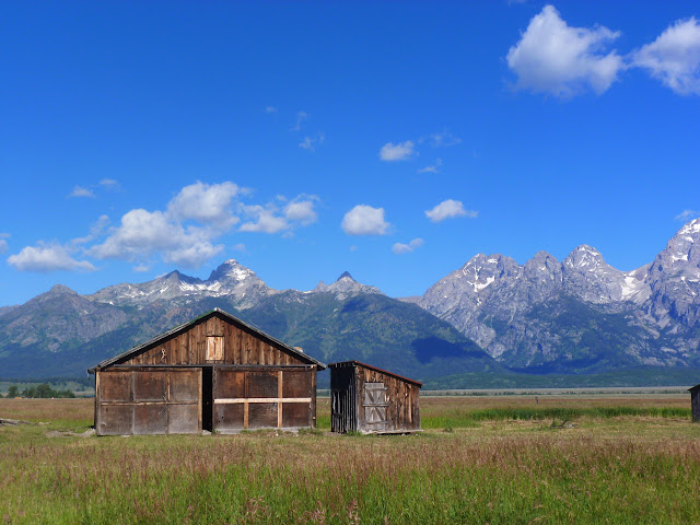 Grand Teton: Mormon Row. Regreso a Calgary y vuelta a casa. 16 y 17 Julio - LAS ROCOSAS DE CANADA. YELLOWSTONE Y GRAND TETON. (7)