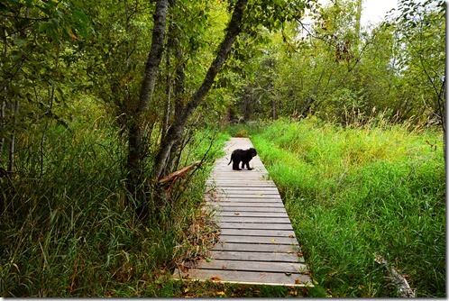 Round Lake Trail