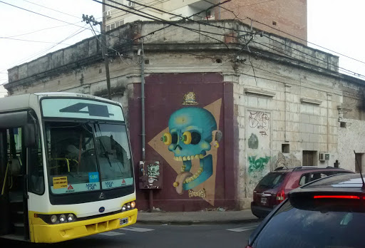 Mural Chancho Verde 