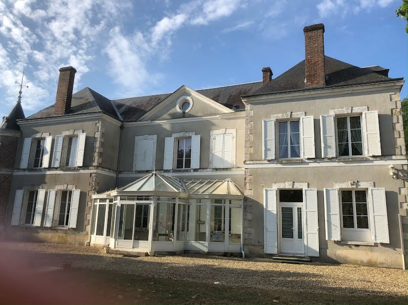 Vente propriété 21 pièces 460 m² à Nogent-sur-Vernisson (45290), 798 000 €