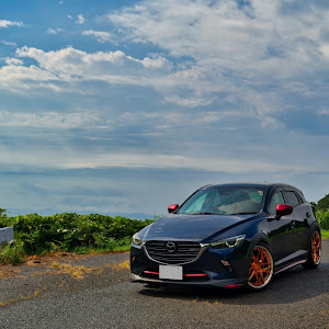 CX-3 DKEFW