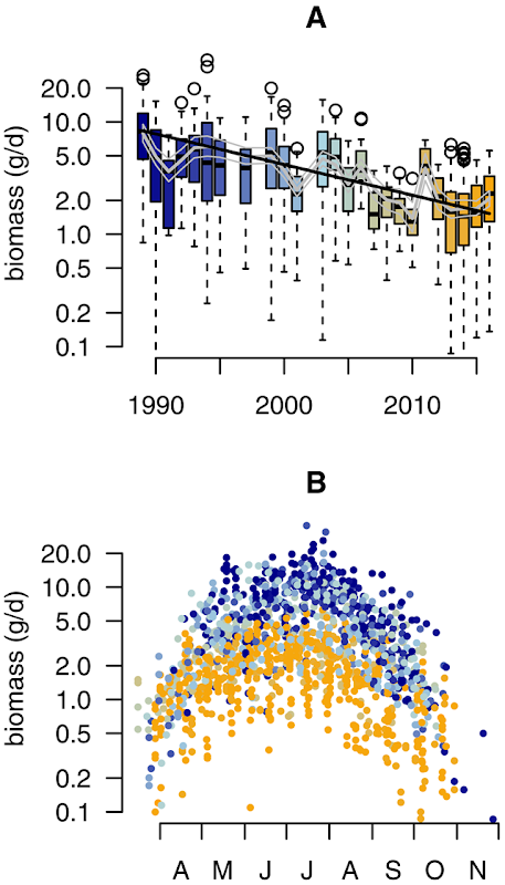 Temporal distribution of insect biomass in 63 nature protection areas in Germany, 1989-2016. (A) Boxplots depict the distribution of insect biomass (gram per day) pooled over all traps and catches in each year (n = 1503). Based on our final model, the grey line depicts the fitted mean (+95% posterior credible intervals) taking into account weather, landscape and habitat effects. The black line depicts the mean estimated trend as estimated with our basic model. (B) Seasonal distribution of insect biomass showing that highest insect biomass catches in mid summer show most severe declines. Color gradient in both panels range from 1989 (blue) to 2016 (orange). Graphic: Hallmann, et al., 2017 / PLOS ONE