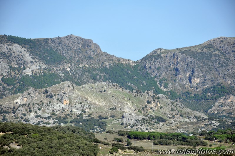 Subida a los Cerros Patagalana y Lajares