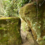 Track squeezing through gap in rock south of Berowra Creek campsite (328961)