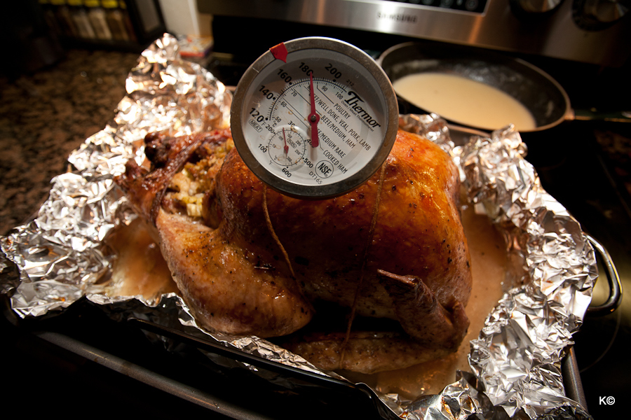 IMAGE: https://lh3.googleusercontent.com/-X-1brXjDPdY/TpEdXAddt5I/AAAAAAAAXpw/wzMFerrlVR4/s900/_MG_6499.JPG