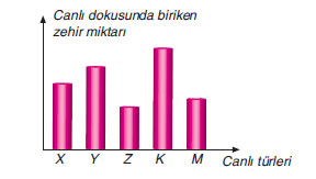 Bir ekosistemde besin zincirini oluşturan canlılar